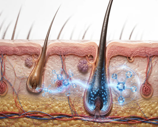 ¿Qué es la Dutasterida y cómo funciona para la caída del cabello?